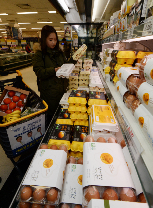 정부 "미국과 달걀 수입 실무절차 협의 중"