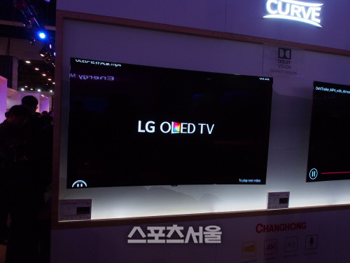 창홍 OLED TV