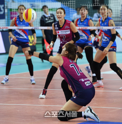 [SS포토] 흥국생명 조송화, 잘 올려줄께~