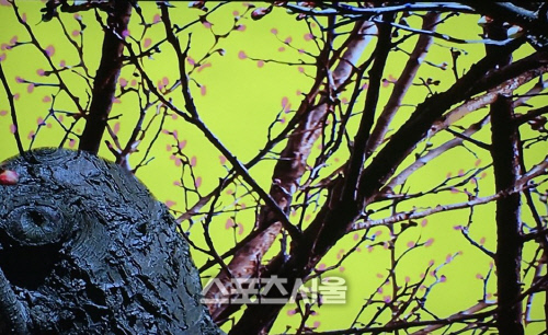 KakaoTalk_20170508_163733453