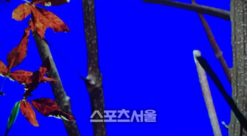 KakaoTalk_20170508_163734195