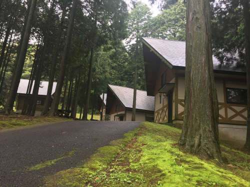 현민의 숲 통나무집(학생들 숙소,8인실-복층,5인실)