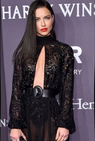 [GirlPic] 아드리아나 리마, 가슴이 '뻥' 뚫린 시스루 드레스 입고…