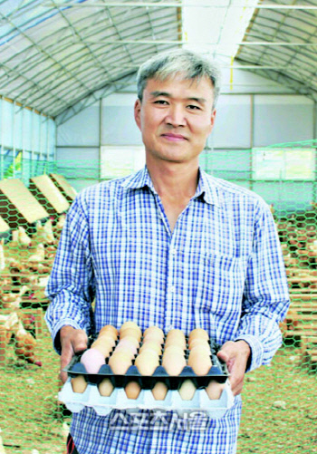 신선하고 건강한 친환경 유정란으로 인기