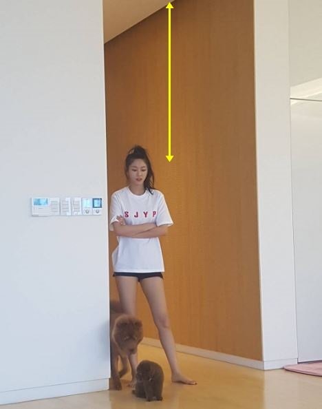 설현, 직접 공개한 집 눈길…천장 높이에 '입이 쩍'