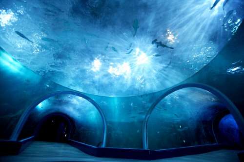 한화 아쿠아플라넷 여수 돔수조