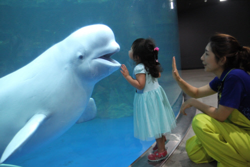 한화 아쿠아플라넷 여수 돔수조