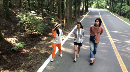 효리네3