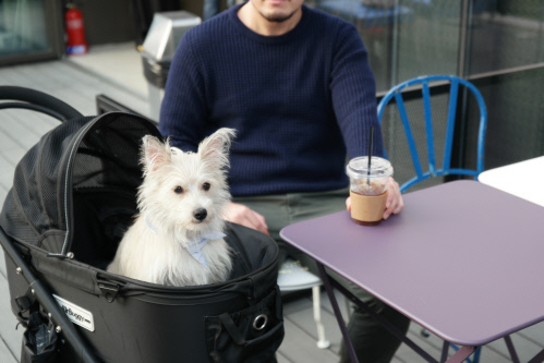 호텔 카푸치노_카페 카푸치노_서머 테라스 2