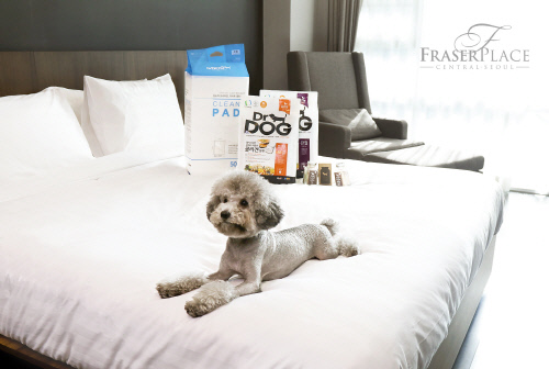 프레이저-플레이스-호텔-반려견패키지