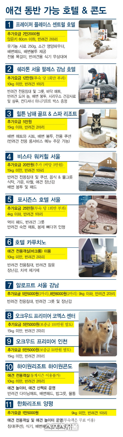 애견동반호텔&콘도