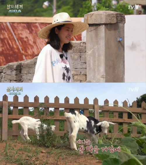 '삼시세끼' 윤균상, 득량도 인심에 함박 미소 '달걀 획득'