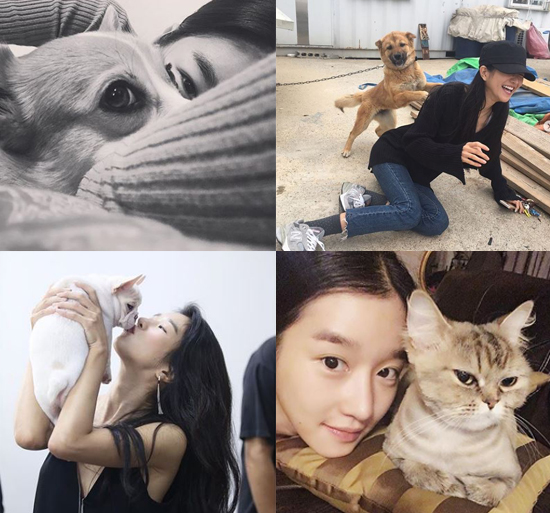 서예지의 남다른 동물 사랑 재조명