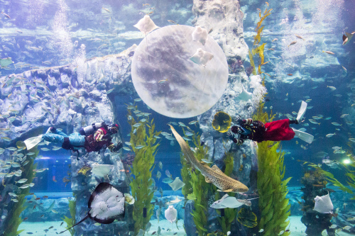 [롯데월드] 황금연휴 끝판왕 롯데월드 (6)