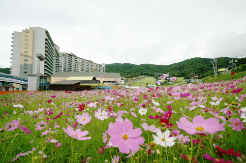 [곤지암리조트] 투호 이벤트