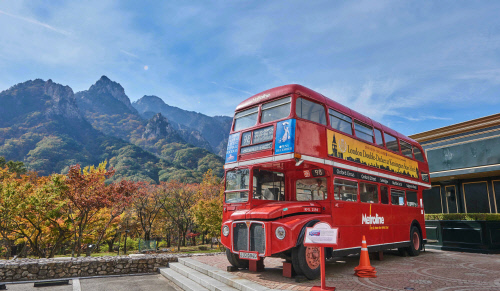 켄싱턴 스타 호텔_가을단풍