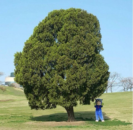 故 김주혁의 마지막 프로필 사진...'1박 2일' 사랑했던 구탱이 형