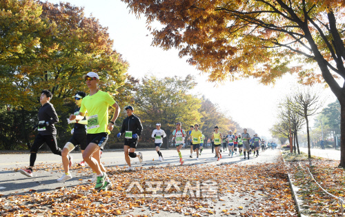 [SS포토]스포츠서울마라톤, 가을 정취를 느껴 보아요!