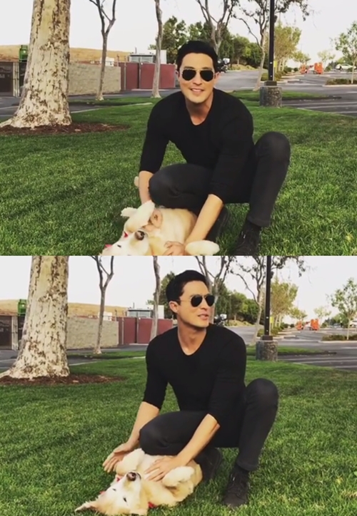 다니엘 헤니, 생일 맞아 한국서 입양한 반려견 첫 공개 "망고 동생"