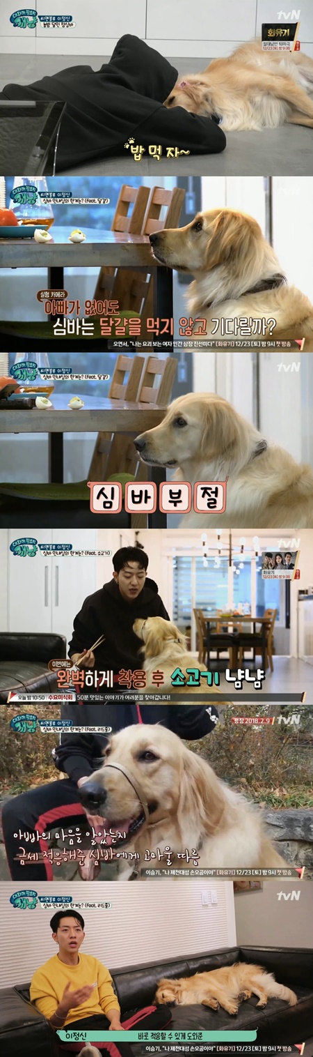 '개냥' 애정과잉 이정신X의욕과잉 이소연,  ♥가득 반려 라이프(종합)