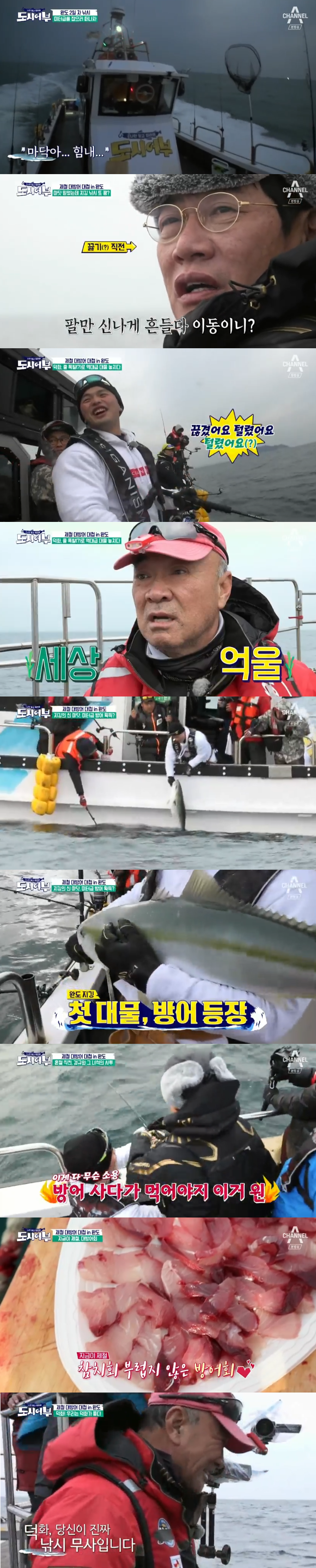 '도시어부' 이경규X마닷, 지깅 낚시 대성공 '방어 파티' (종합)