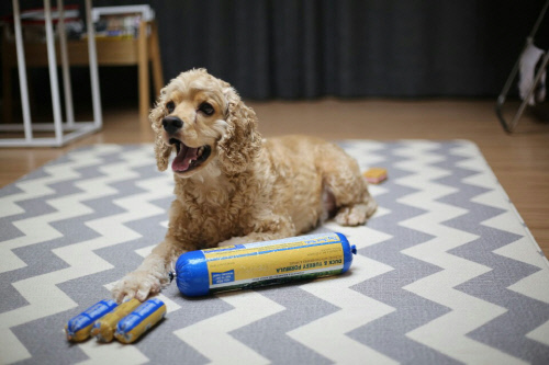 KakaoTalk_20171230_201118266