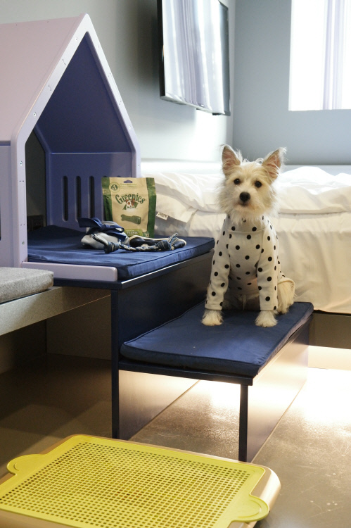 호텔 카푸치노_바크 룸 6