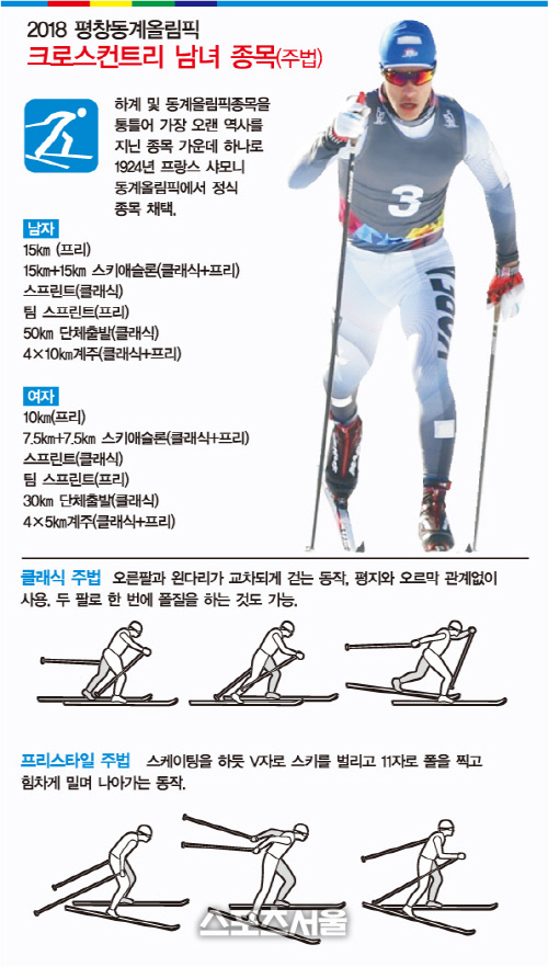 크로스컨트리 주법