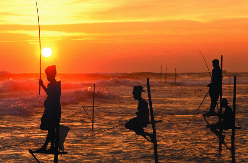 2018 1 16 밀레니엄 서울힐튼 - 스리랑카 이미지