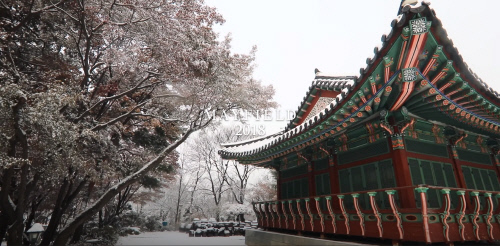 메이필드호텔_설 패키지 \'황금빛 2018\'