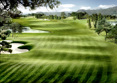 엠스클럽의성_10번홀