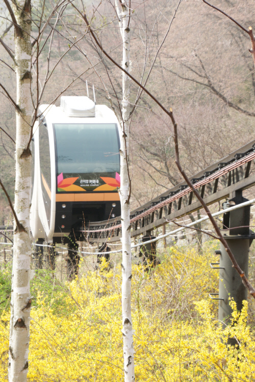화담숲_노란 봄을 오르는 화담숲 모노레일_IMG_4083