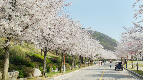 [보도사진]