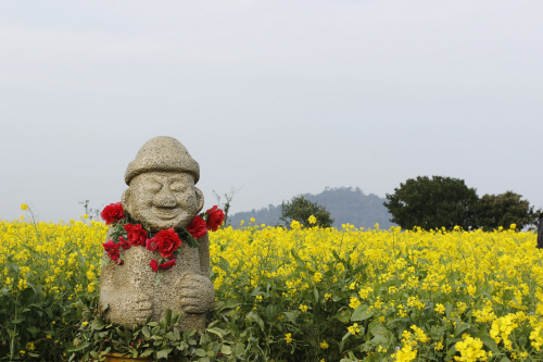 [인터파크투어]제주도