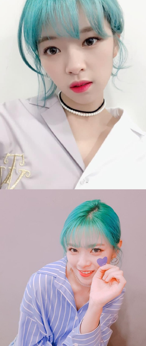 파랑 머리도 '완벽' 소화한 트와이스 정연