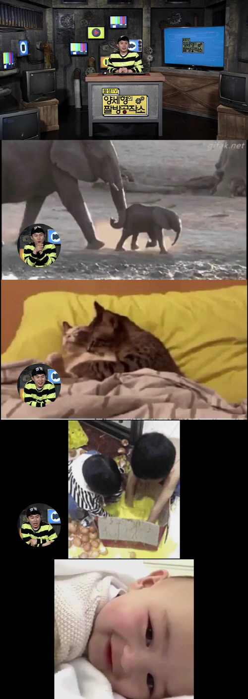 KBS Joy '양세형의 짤방공작소', '난 그렇게 엄마가 되었다' 공감 짤 출동