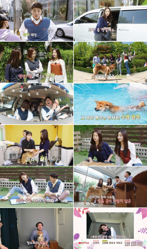 '도그메이트'로 변신한 송지효-구재이-권혁수-연우, 덩달아 '송지효의 뷰티풀라이프'도 시청률 상승