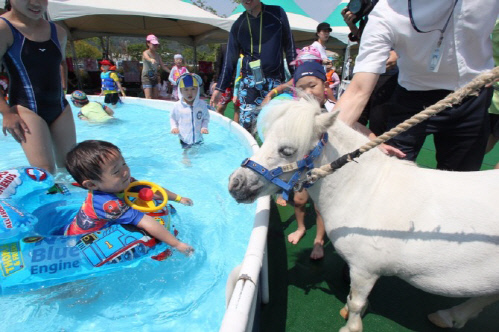 [경마단신]말(馬) 테마 물놀이 시설 '포니 워터파크' 개장 外