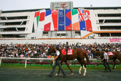 [경마단신]미국과 경주수출 연장계약 체결 外