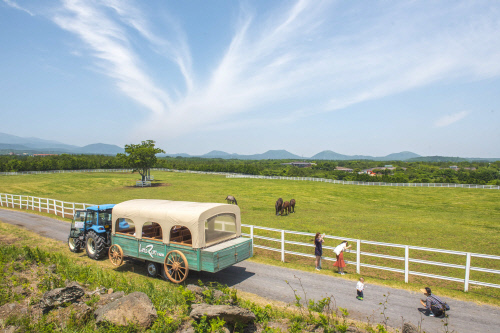 렛츠런팜 제주 트렉터 투어 (4)