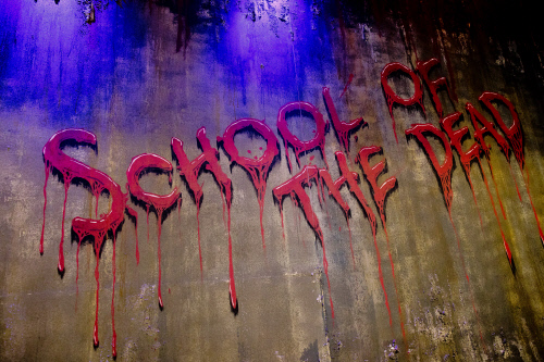 [롯데월드 어드벤처] 즐겁고 놀라운