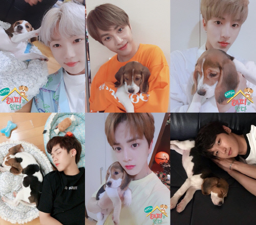 더보이즈_ 우리 집에 해피가 왔다 셀카모음