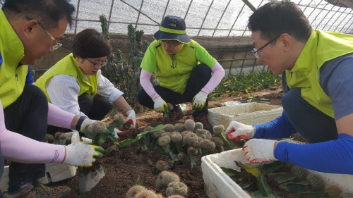 NH농협은행, 폭우피해 농가 복구 작업에 '구슬땀'
