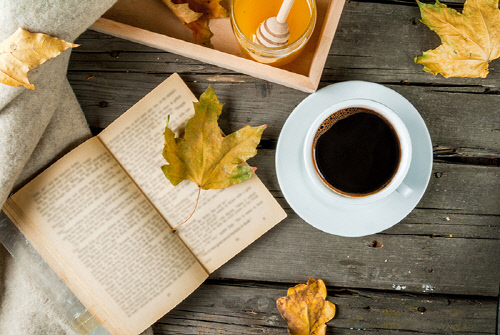 '올 가을엔 호텔을 읽어봐요' 이비스 스타일 앰배서더 강남, 도심 속 문화충전 가을 패키지