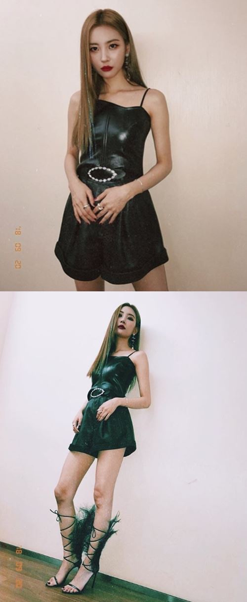 선미, 깃털 달린 구두까지 완벽 소화…'11자 각선미' [★SNS]