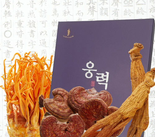 남성의료기기 전문기업-웰로스 건강식품 웅력 출시