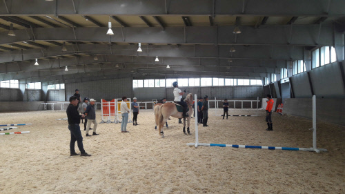한국마사회 승용마 조련 기술 전파 外[경마단신]