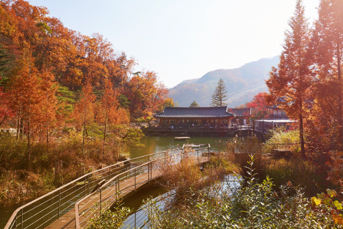 화담숲_가을_원앙연못_HAHM3067(1)