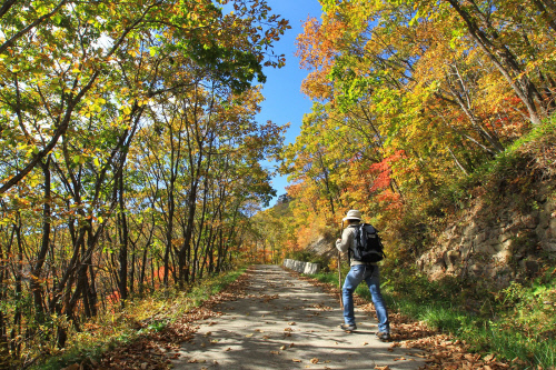 하늘길 가을풍경-1