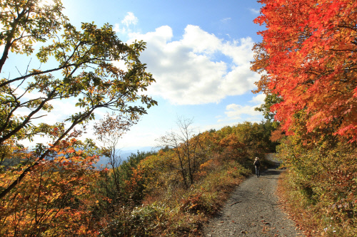 하늘길 가을풍경-1